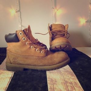 Timberland 6-inch Premium Waterproof Boots
